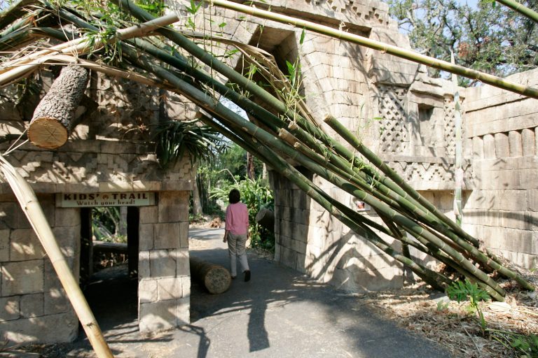 Audubon Zoo spokesperson Sarah Burnett walks through a hurricane-damaged portion of the zoo in New Orleans, La., Oct. 14, 2005. The zoo suffered damage from Hurricanes Katrina and Rita, but the only animals lost were two otters and a racoon. (AP Photo/Don Ryan)