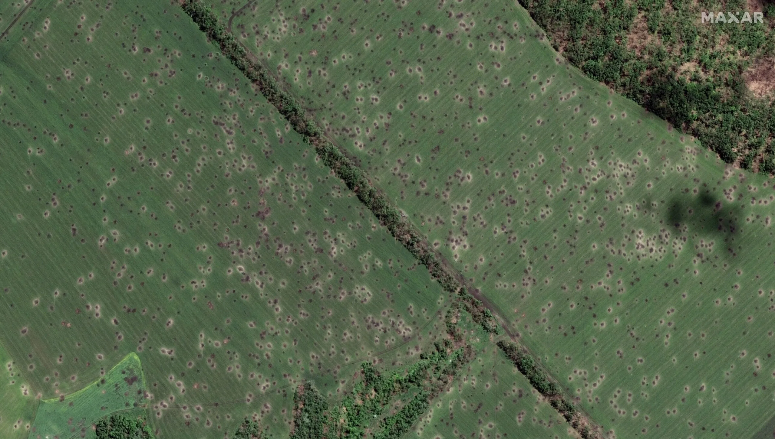 09_fields peppered with artillery craters_nw of slovyansk ukraine_6june2022_wv2.jpg