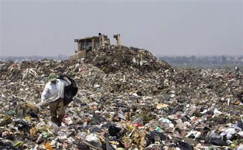 USDA app aims to stop Americans from wasting 36 lbs. food a month