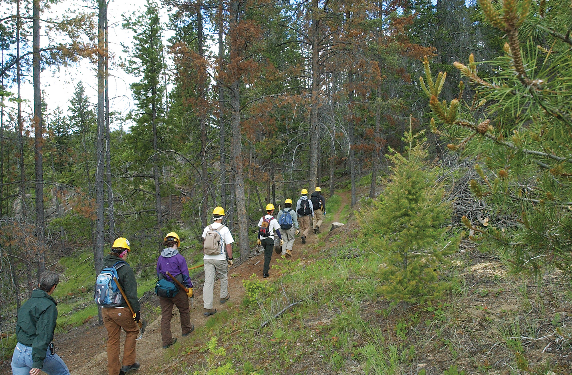Forest Service trying to seize private land from Montana ranchers