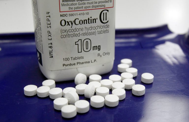 Federal regulators have approved a kid-sized version of popular painkiller OxyContin. (AP Photo)