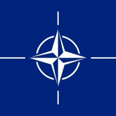 NATO’s Secretary General Goes to Washington