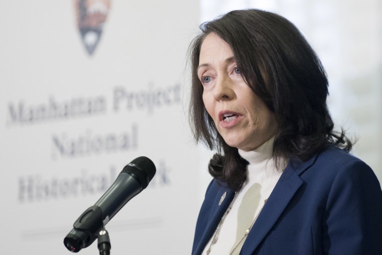 Einstein and Enrico Fermi were immigrants who fled Europe, top energy Democrat points out. (AP Photo/Sait Serkan Gurbuz)