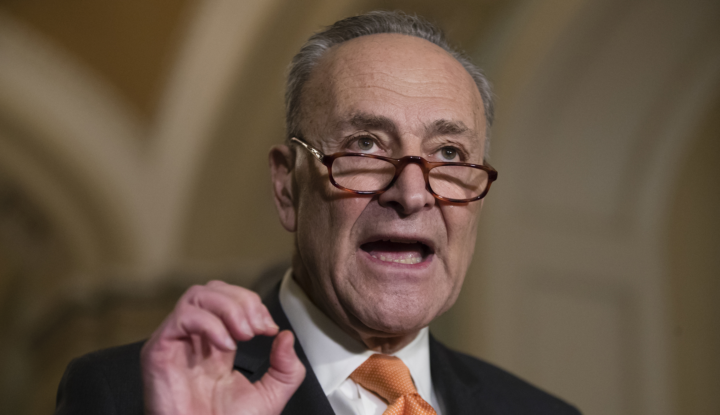 Chuck Schumer: DACA court ruling ‘in no way diminishes urgency’ for legislative fix