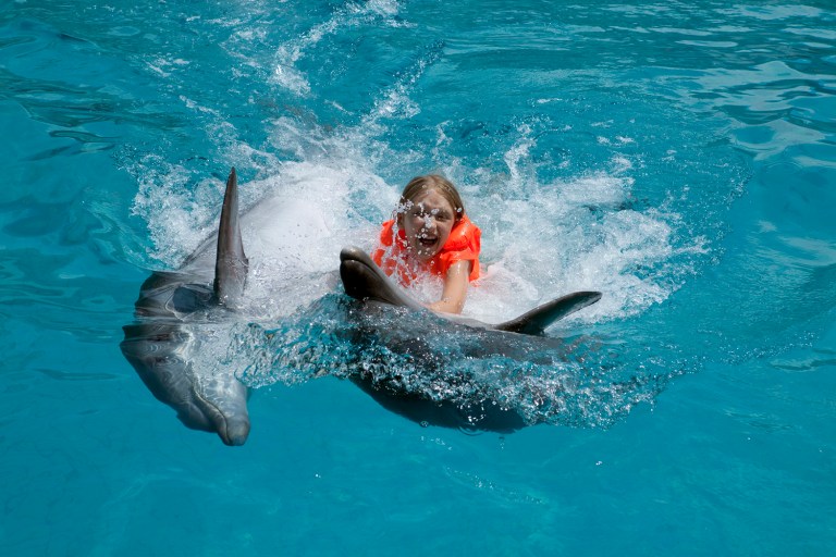 The Commerce Department's marine fisheries agency on Tuesday proposed a ban on swimming with the Aloha State's indigenous spinner dolphins. (iStock Photo)