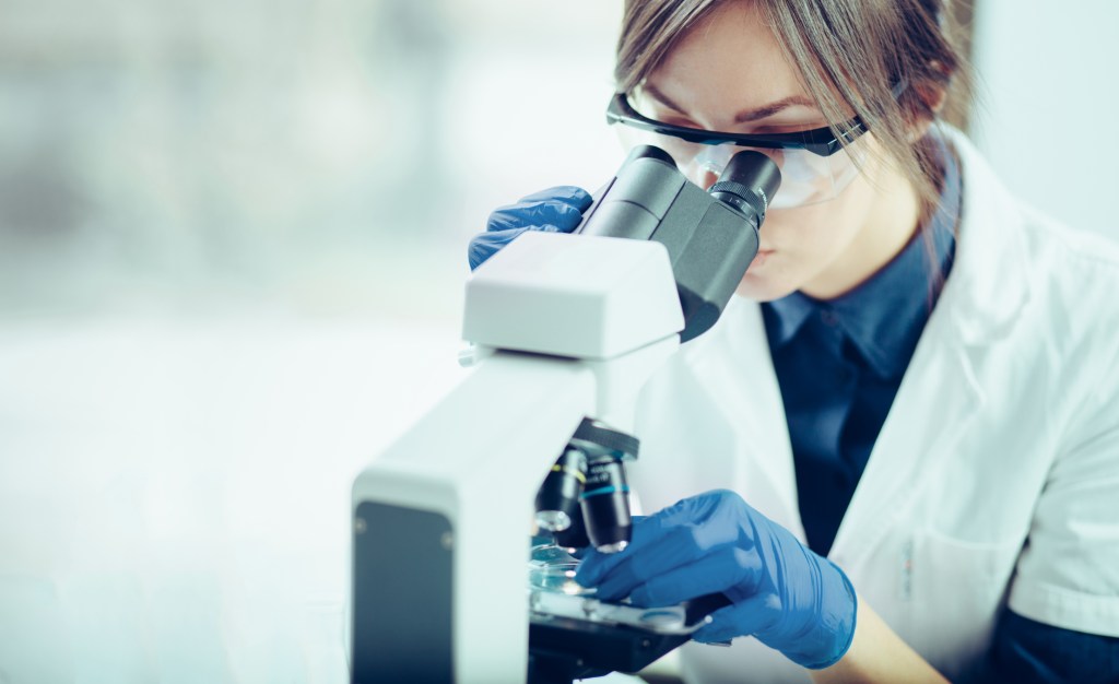 Researchers in ‘distress’ after STEM students mock transgender survey