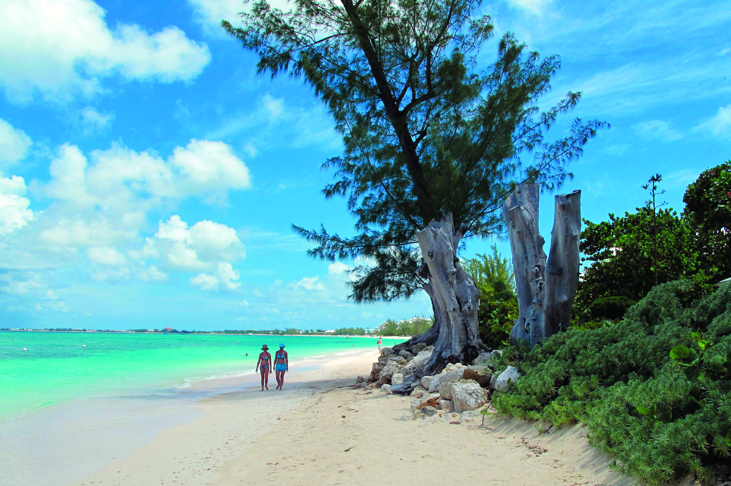 Cayman premier scrapping income tax on expats