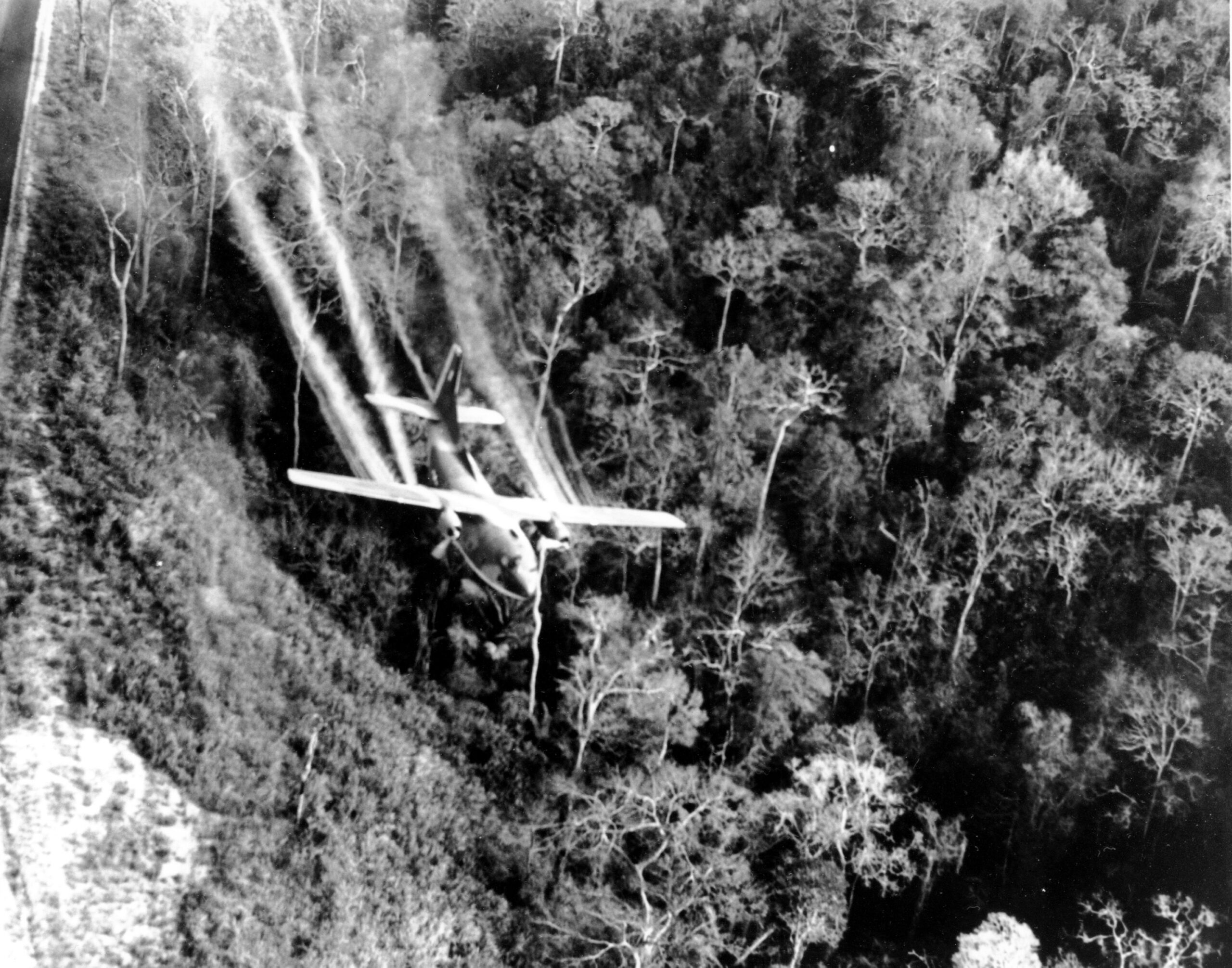 Bill would expand care for veterans suffering from Agent Orange exposure