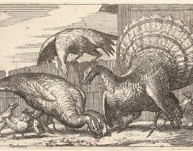 Happy Thanksgiving