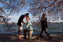 Millennial gentlemen do exist says the Network of Enlightened Women