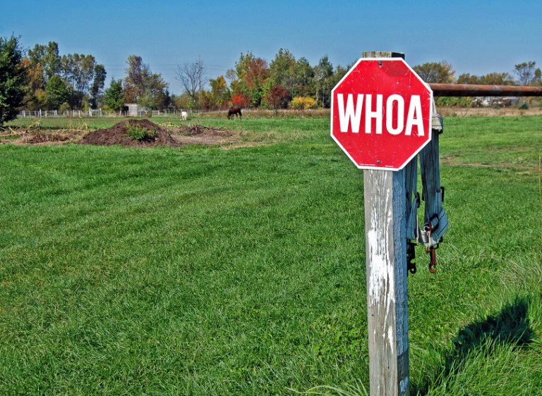 Congress can pull back the REINS on Washington