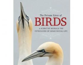 Book Review: A Peep into the Nest