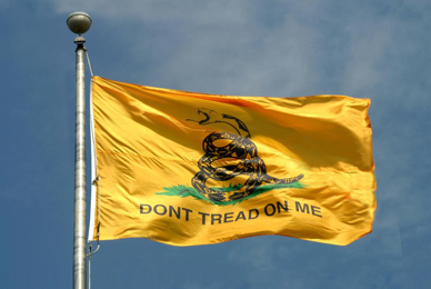New York town removes flag as ‘offensive’ Tea Party symbol
