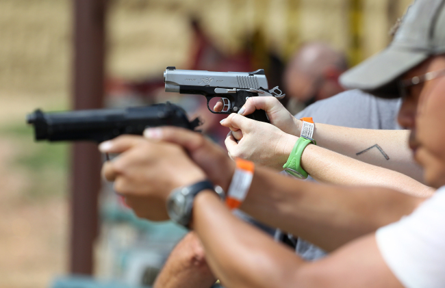 Ban on lead bullets sought, linked to 20 million animal deaths