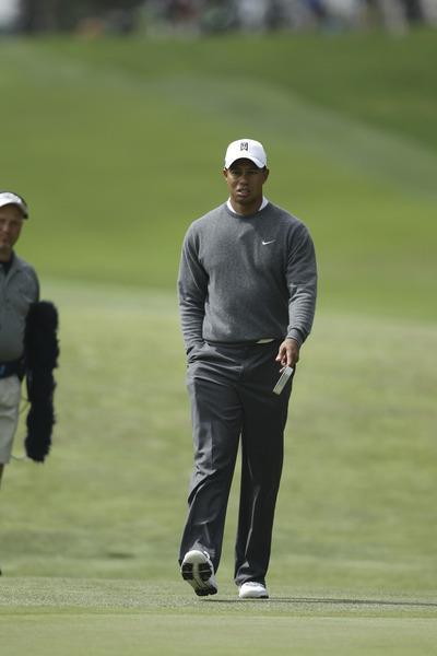 Tiger primed for prime time