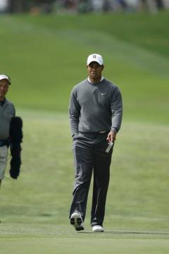 Tiger primed for prime time
