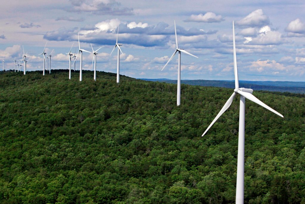Internet giants drive new demand for wind energy