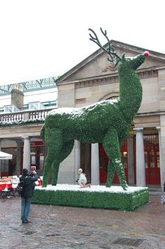 Prufrock: Artists against Trump, Gentlemanliness and Morality, and a History of Rudolph