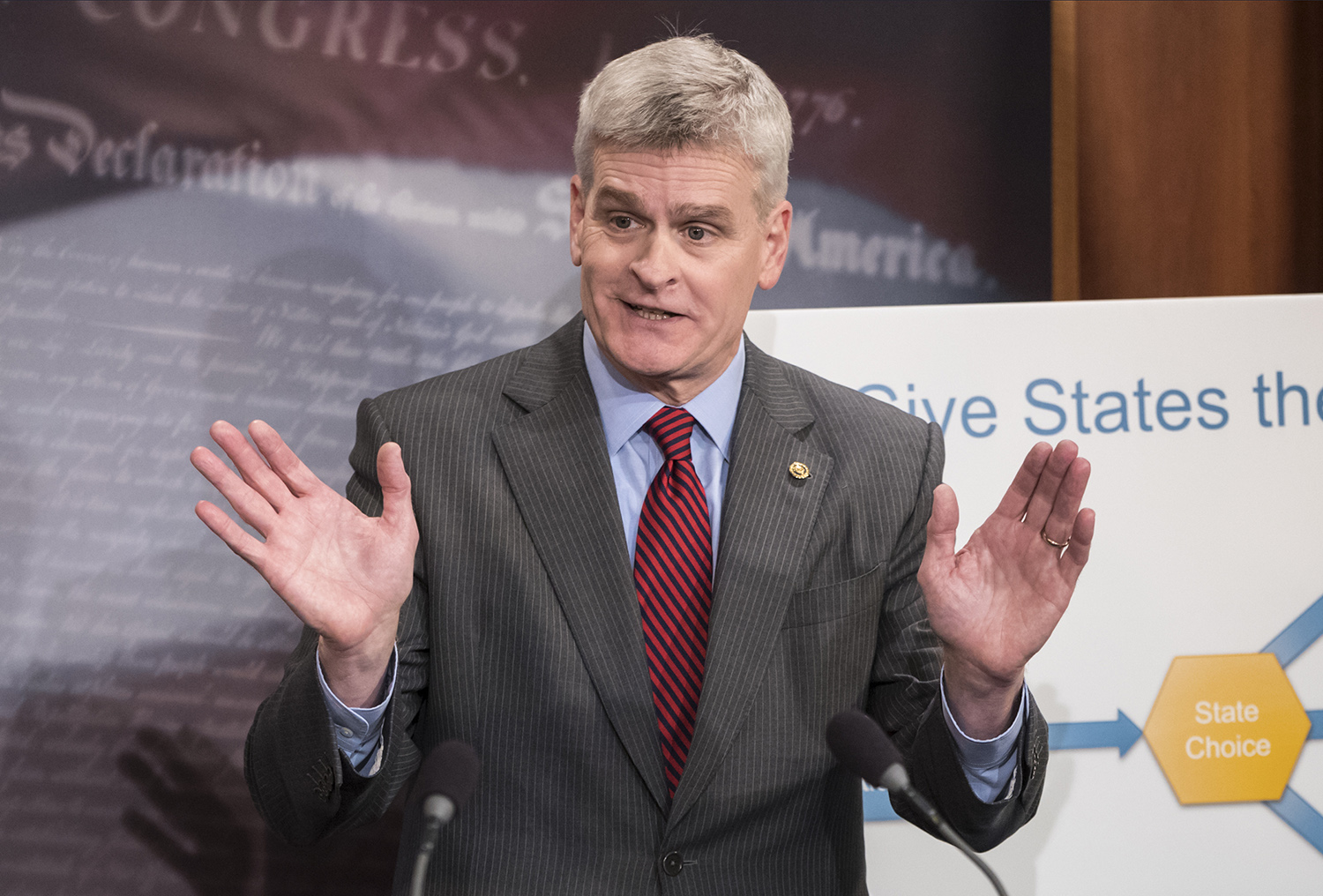 GOP Sen. Bill Cassidy says Mike Flynn should be given immunity to testify