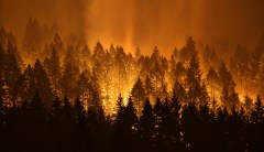 ‘There will be fire’: Congress fights over how to fund, respond to wildfires