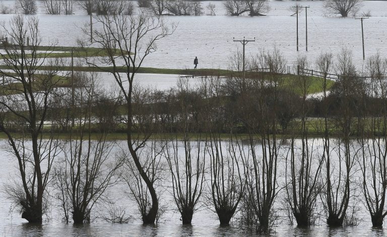 In this photo taken Sunday Feb. 2, 2014, a man walks along the raised banks of the  flooded River Parrett near Muchelney in Somerset, England, the village has been cut off by road since Jan. 1 this year. Here on the Somerset Levels _ a flat, marshy region of farmland dotted with villages and scored by rivers and ditches _ it's often wet. But not this wet. Thousands of acres of this corner of southwest England have been under water for weeks, some villages have been cut off for more than a month, and local people forced to take boats to get to school, work and shops are frustrated and angry. Some blame government budget cuts and environmental bureaucracy. Others point to climate change. Even plump, endangered water voles are the target of ire.(AP Photo/Alastair Grant)