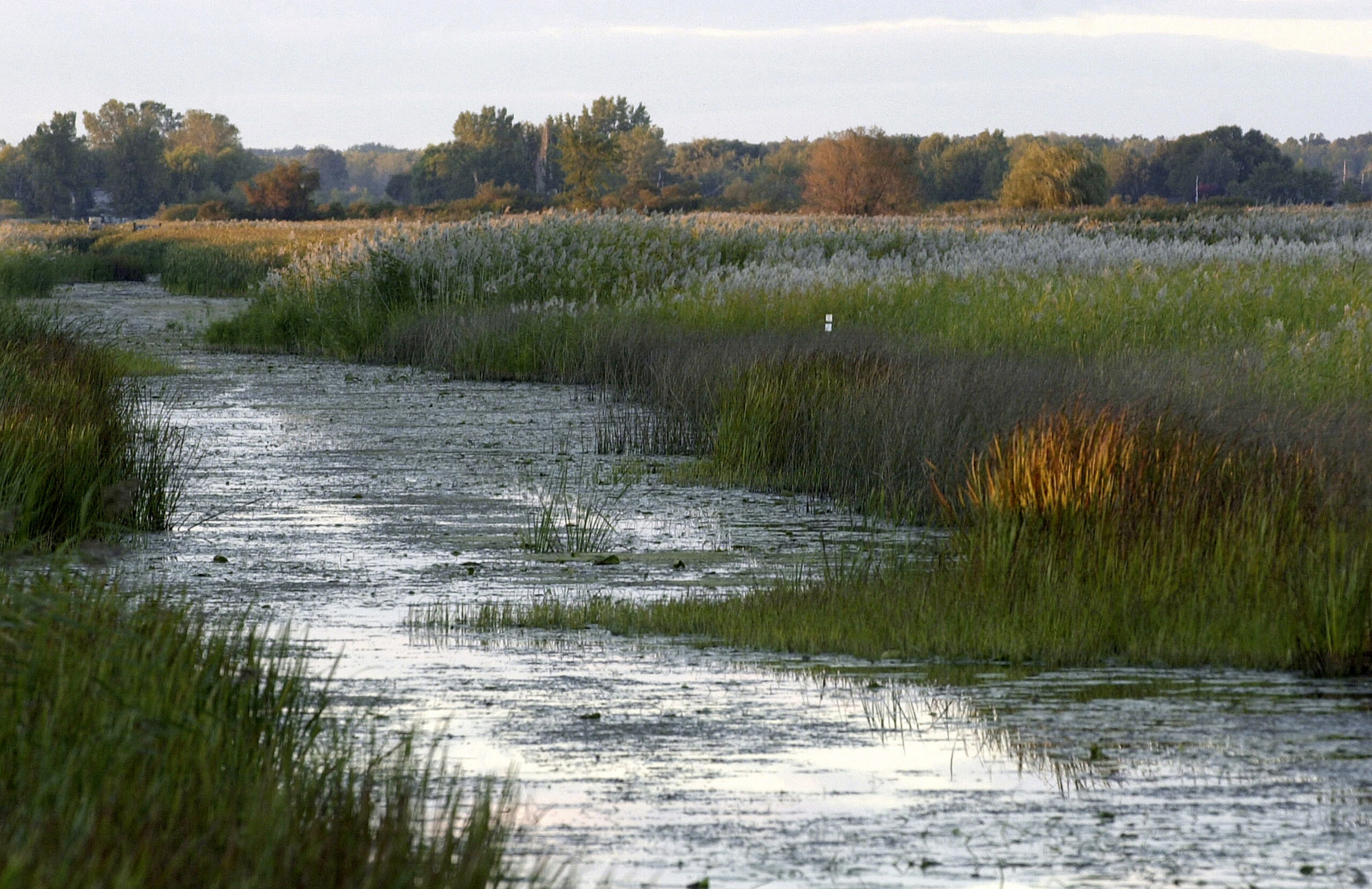 Appeals court blocks EPA’s clean water rule
