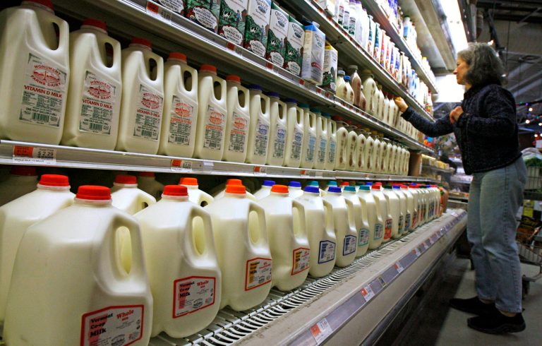 FILE - In this Feb. 11, 2009 file photo, a shopper looks over the milk aisle at the Hunger Mountain Co-op in Montpelier, Vt. Vermont dairy farmers were paid a record high price for their milk in April 2014 and prices remain strong, driven in part by international demand for U.S. dairy products. The extra income is allowing farmers to pay off debt, repair equipment and make other investments, following challenging years in 2009 and 2012.
