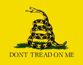 Patriot Takes on WikiLeaks