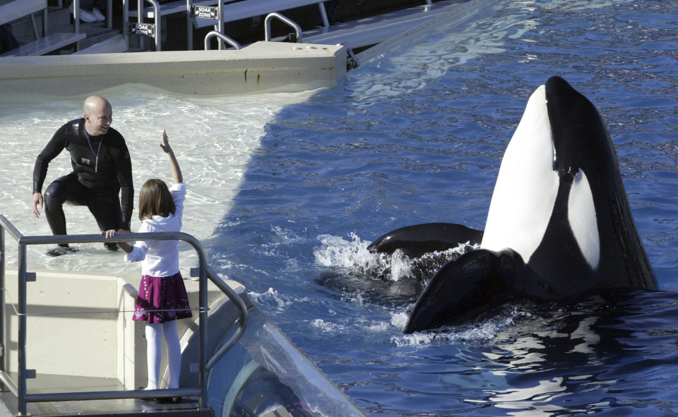 Marco Rubio says Kathleen Sebelius needs to visit SeaWorld