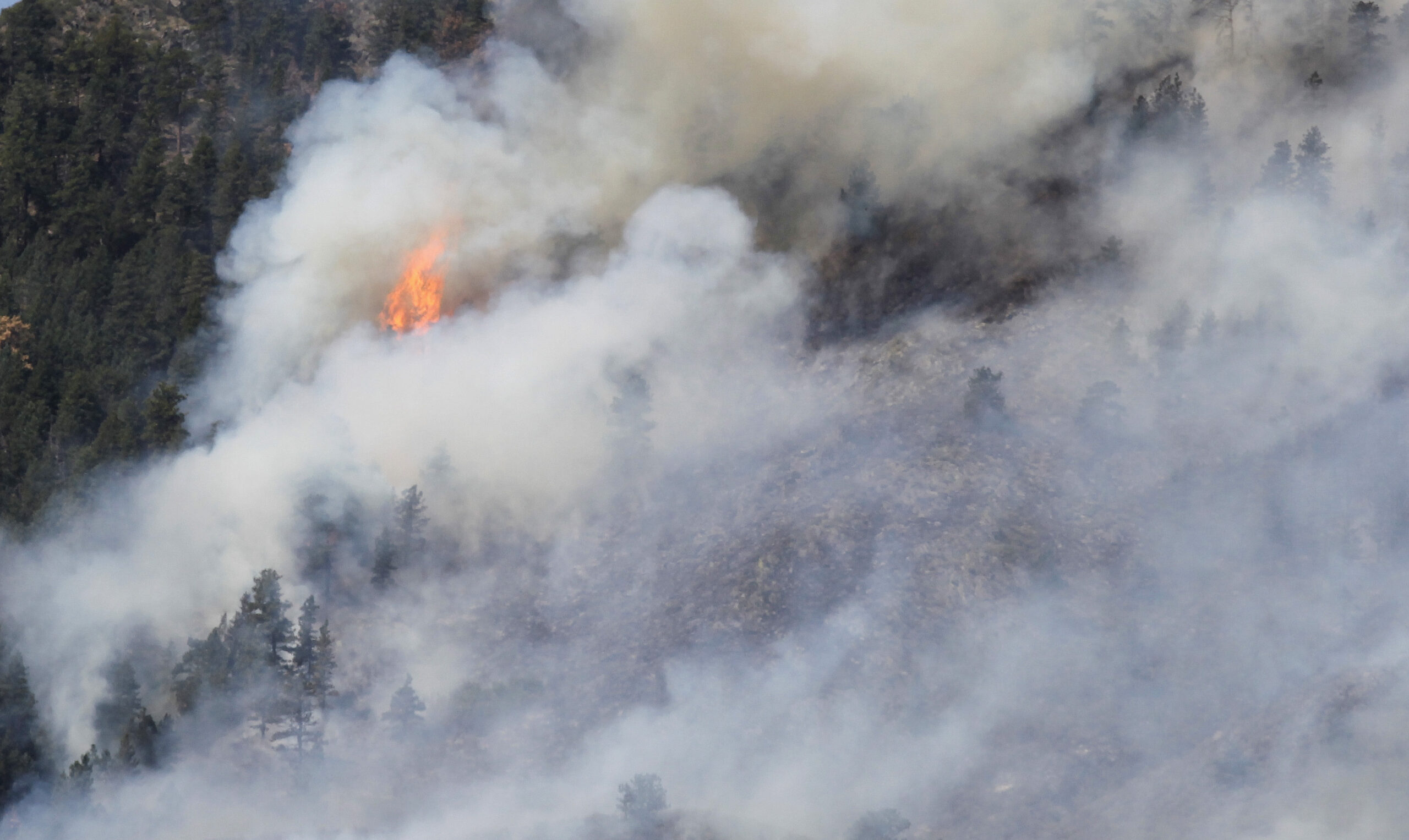 US Forest Service admits controlled burn caused extreme wildfire in New Mexico