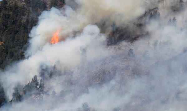 US Forest Service admits controlled burn caused extreme wildfire in New Mexico