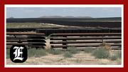 Wall of waste: Biden ending Trump wall leaves border rancher with field of ‘rusting’ steel