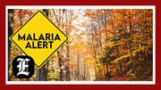 Malaria buzz: What increase in US mosquitoes means for health risks