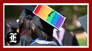 Ivy League students increasingly identify as LGBT, far outpacing national average