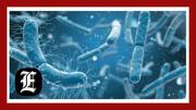 Congress’ solution to the next pandemic