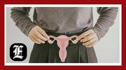 AMA paper on uterus transplants for men sparks petition drive: ‘Remember your oath’