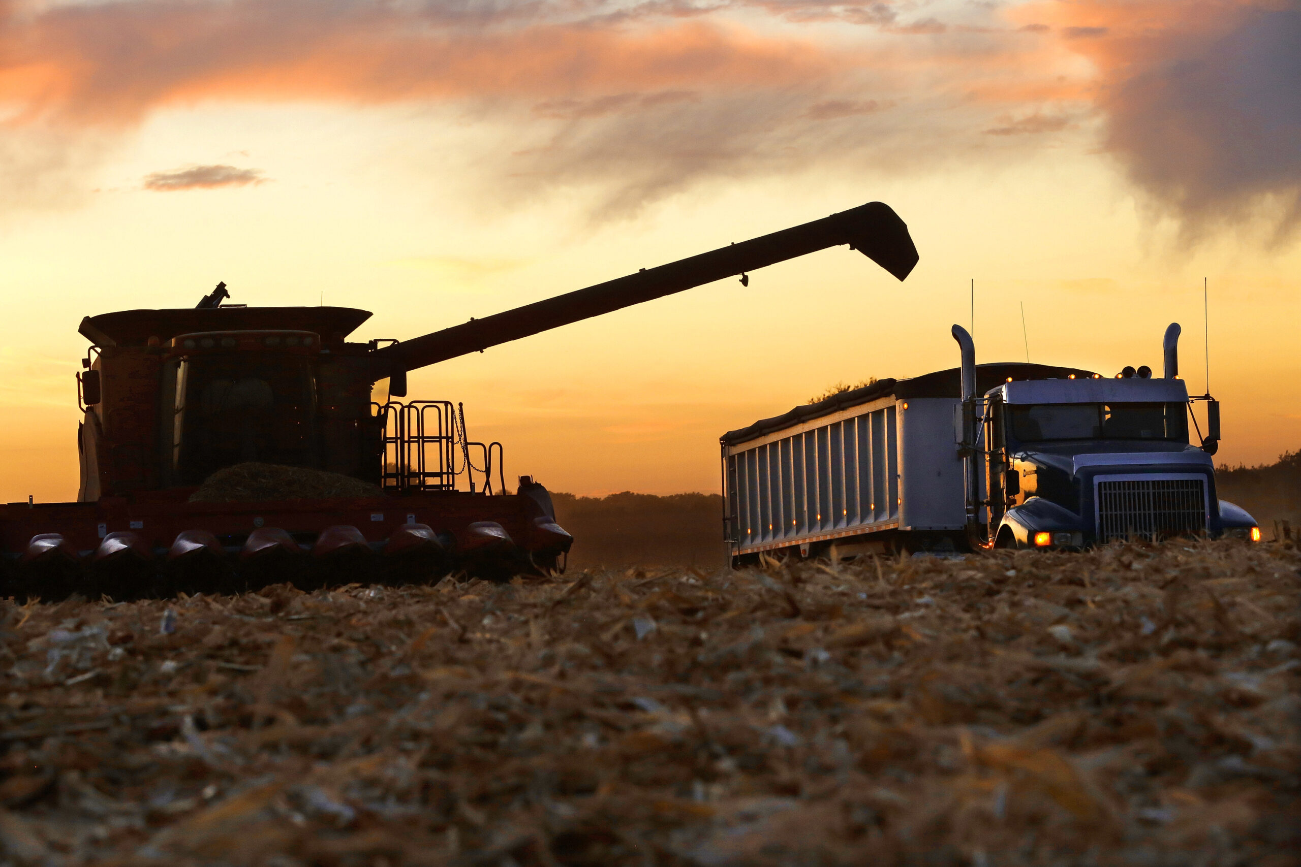 Soggy weather slows state’s corn, soybean harvests