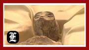 ‘Alien corpses’ unveiled at Mexico’s Congress as UFO speculation intensifies