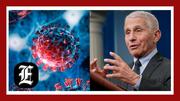 Fauci’s hand in covering up questions about COVID-19 origins runs deep: Report