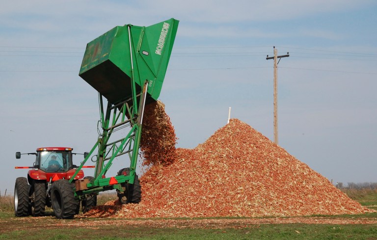A dump wagon adds freshly gathered corn cobs to a pile on a farm. POET is testing various cob gathering methods as part of the company's effort to make cellulosic ethanol out of corn waste. (AP Photo/Dirk Lammers)