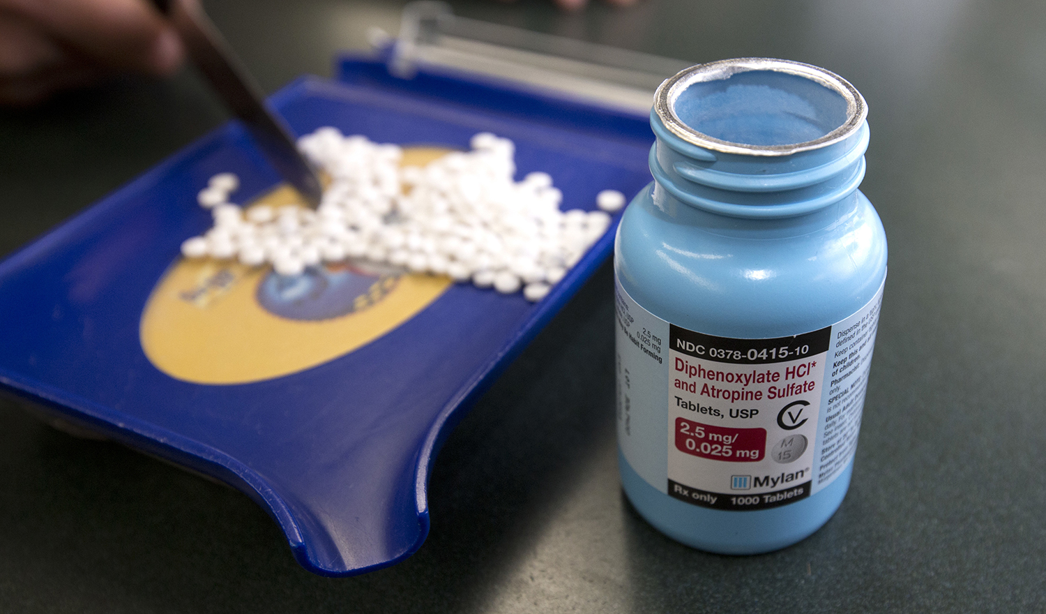 Pharma company stocks go up after Trump win
