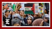 Reporter’s Notebook: The division among Democrats on Palestine