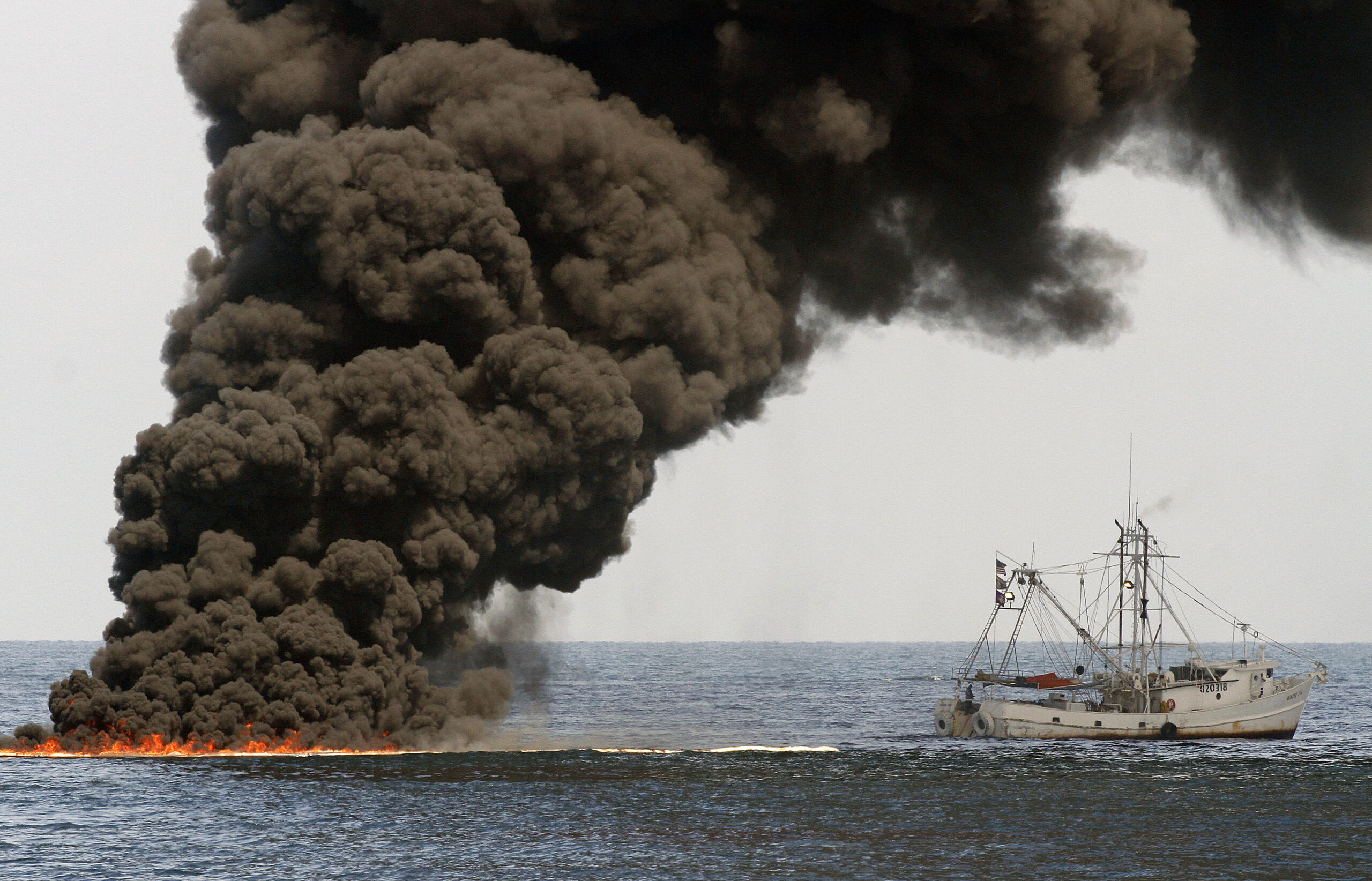 Feds announce Gulf restoration projects for 2010 BP spill