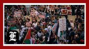 Israel war: White House pressed on anti-Israel protests on campus