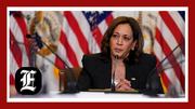 Former Kamala Harris campaign aides push vice president to back ‘Squad’ calls for Gaza ceasefire