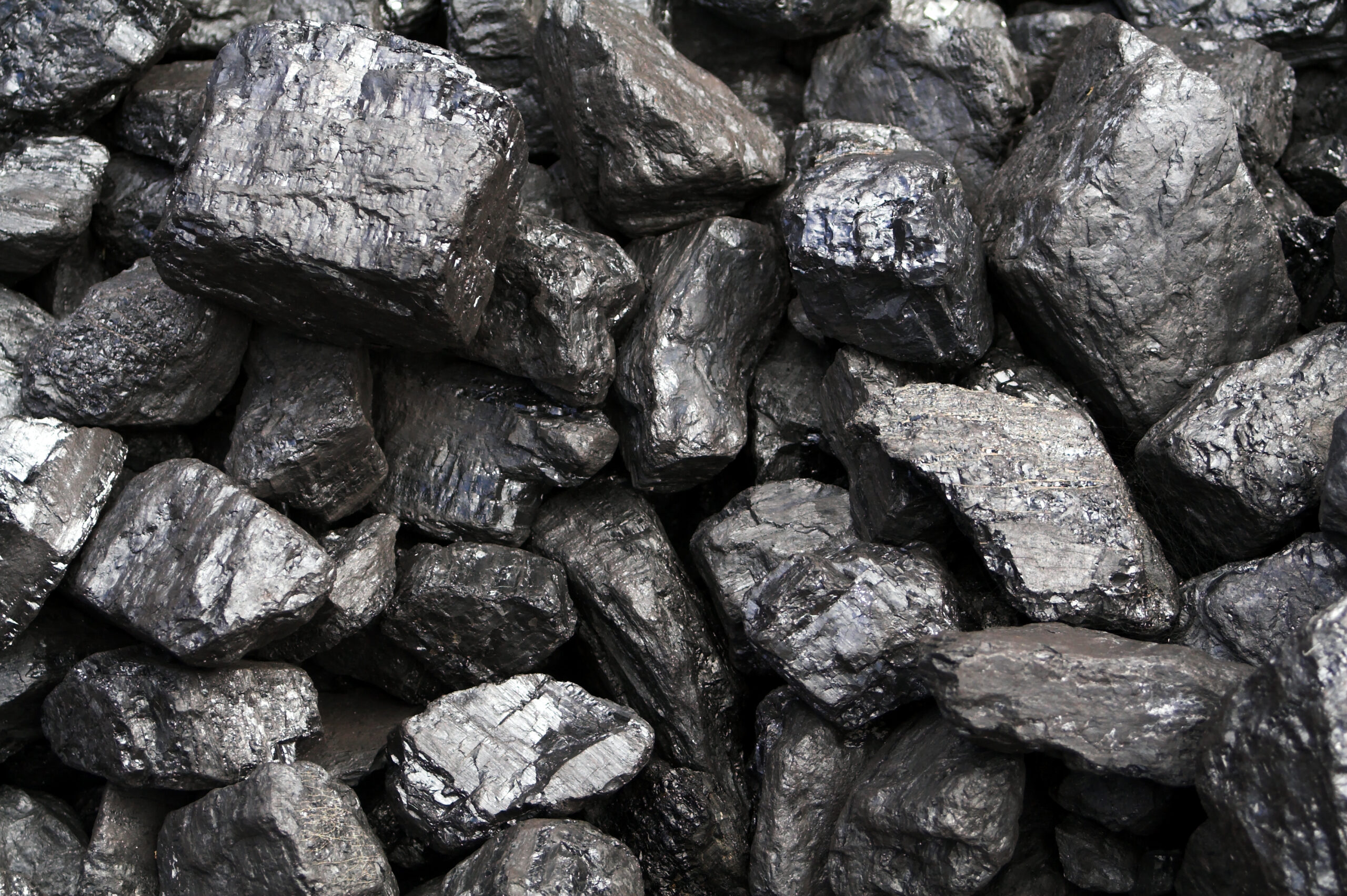Bipartisan coalition urges Obama admin to halt its ‘war on coal’