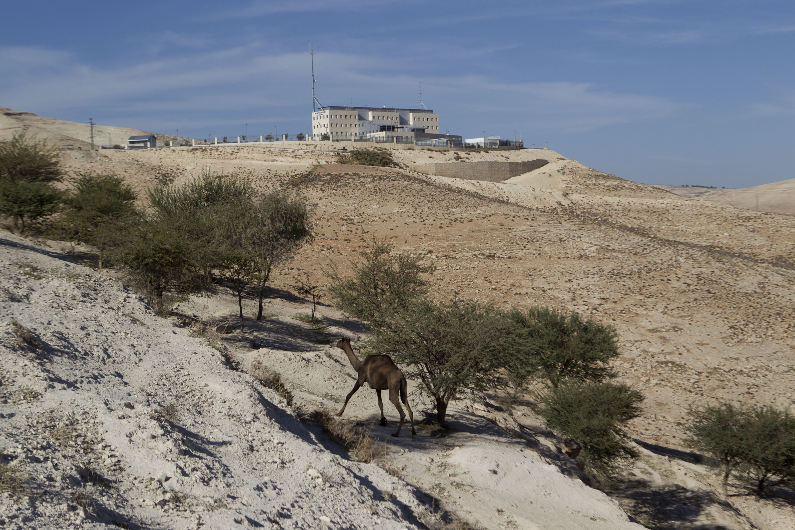 Palestinians: settlement expansion means 1 state