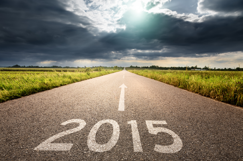 5 political stories that will drive 2015