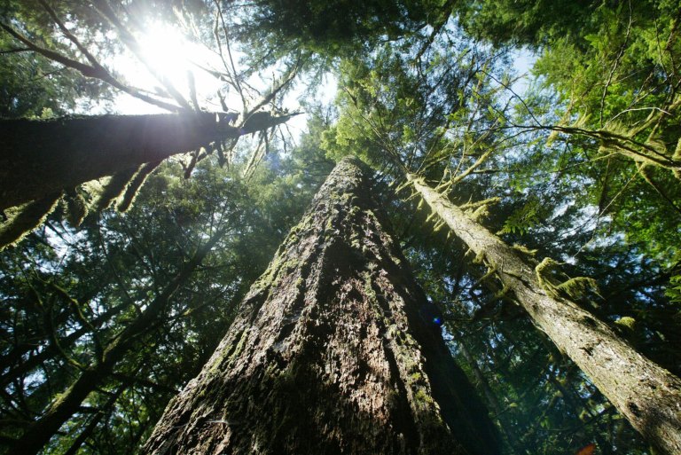 Burns is a good launching-off point for folks who want to take in the natural world. (AP)