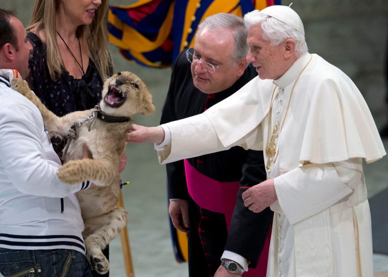   Pope Benedict XVI strokesa lion cub as he greets circus artists and workers, during an audience he held in the Pope Paul VI hall, at the Vatican, Saturday, Dec. 1, 2012. Benedict clapped and watched amused as circus workers flipped, flopped, juggled and twisted before him in what the Vatican has called a historic audience to make street performers and other itinerant entertainers feel like they belong to the church. (AP Photo/Andrew Medichini)  